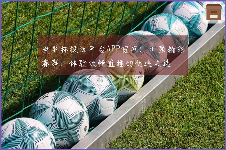 世界杯投注平台APP官网：汇聚精彩赛事，体验流畅直播的优选之选