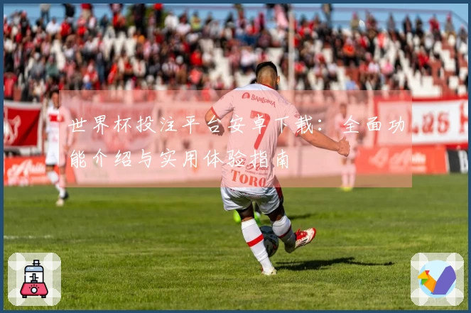 世界杯投注平台安卓下载：全面功能介绍与实用体验指南