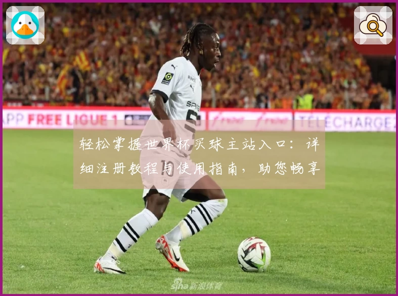 轻松掌握世界杯买球主站入口：详细注册教程与使用指南，助您畅享精彩赛事