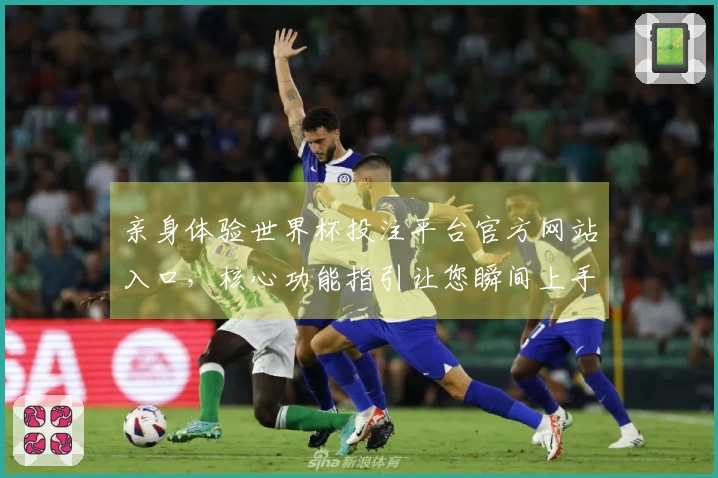 亲身体验世界杯投注平台官方网站入口,核心功能指引让您瞬间上手