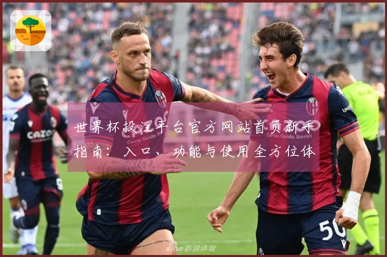 世界杯投注平台官方网站首页新手指南：入口、功能与使用全方位体验