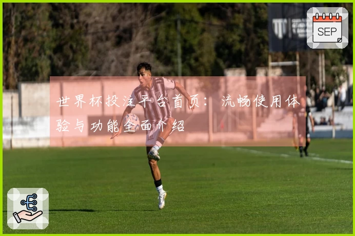 世界杯投注平台首页：流畅使用体验与功能全面介绍