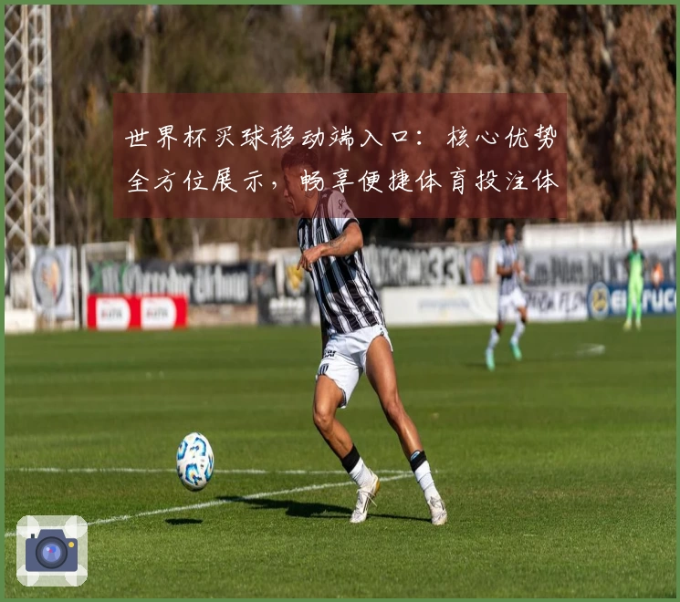 世界杯买球移动端入口：核心优势全方位展示，畅享便捷体育投注体验