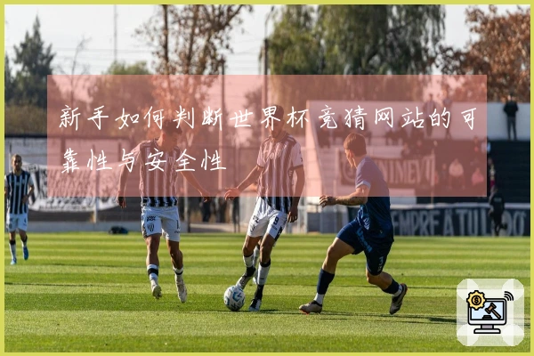 新手如何判断世界杯竞猜网站的可靠性与安全性