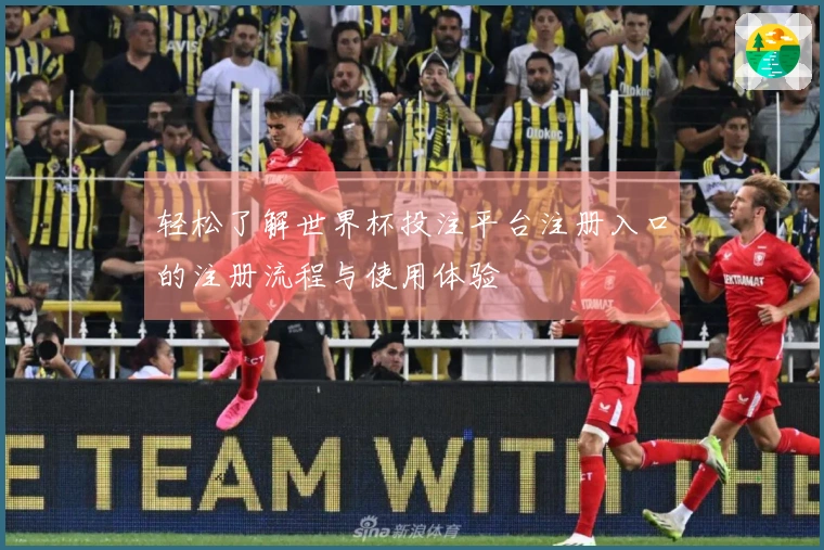 轻松了解世界杯投注平台注册入口的注册流程与使用体验