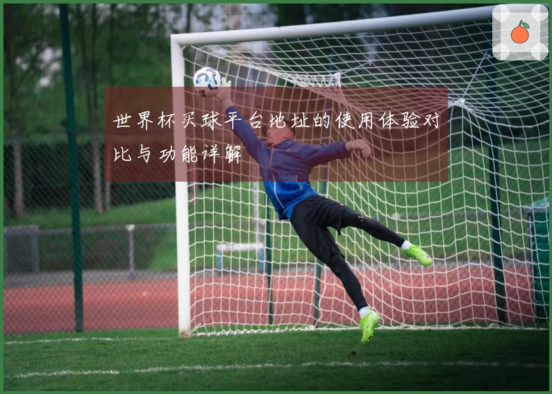 世界杯买球平台地址的使用体验对比与功能详解