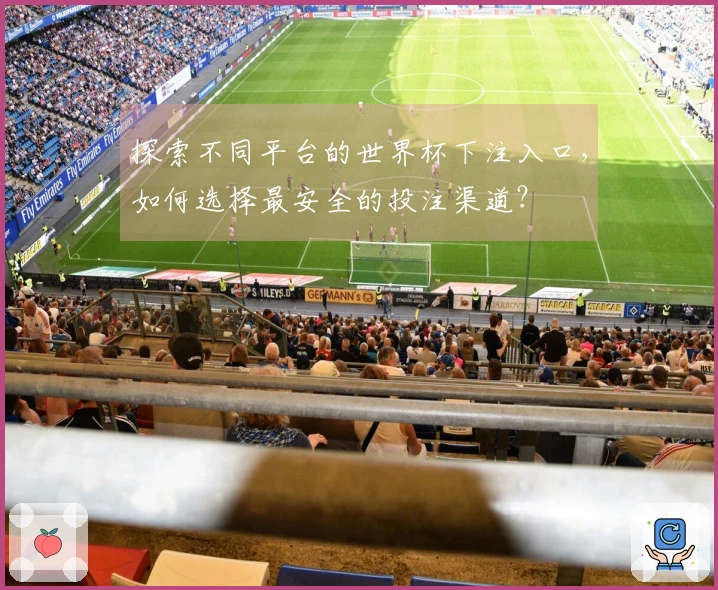 探索不同平台的世界杯下注入口，如何选择最安全的投注渠道？