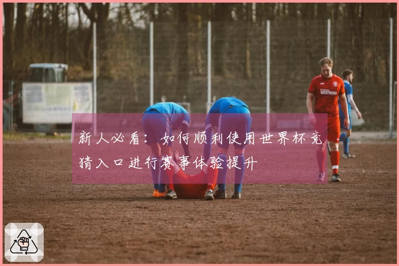 新人必看：如何顺利使用世界杯竞猜入口进行赛事体验提升