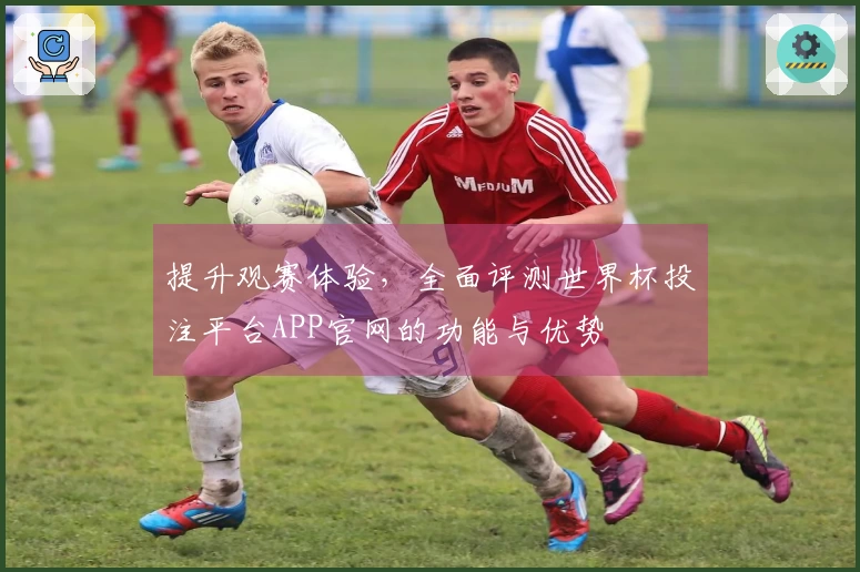 提升观赛体验，全面评测世界杯投注平台APP官网的功能与优势