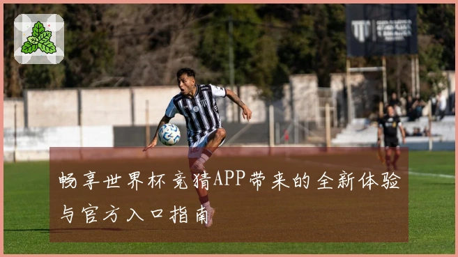 畅享世界杯竞猜APP带来的全新体验与官方入口指南